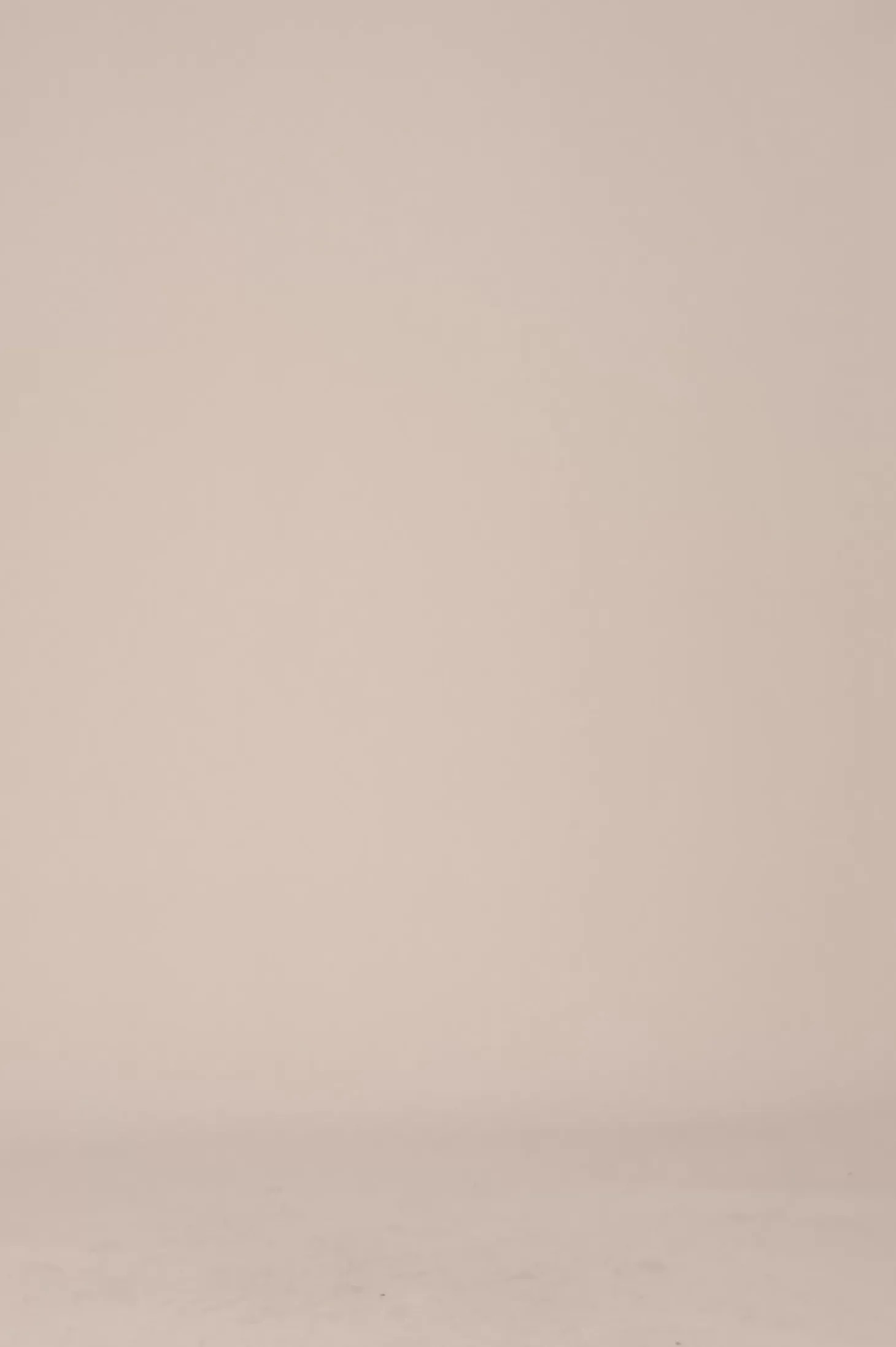 Clearance Carolina Casey Pants Navy-Pre Order