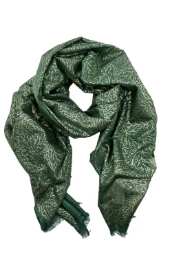 Cheap Carolina Mabel Modal Scarf Olive and Gold