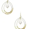Clearance Carolina Melania Pearl Earrings Gold
