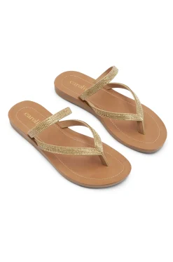 New Carolina Samos Slides Gold